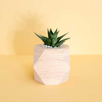 特惠促销的呼死你免费试用在线